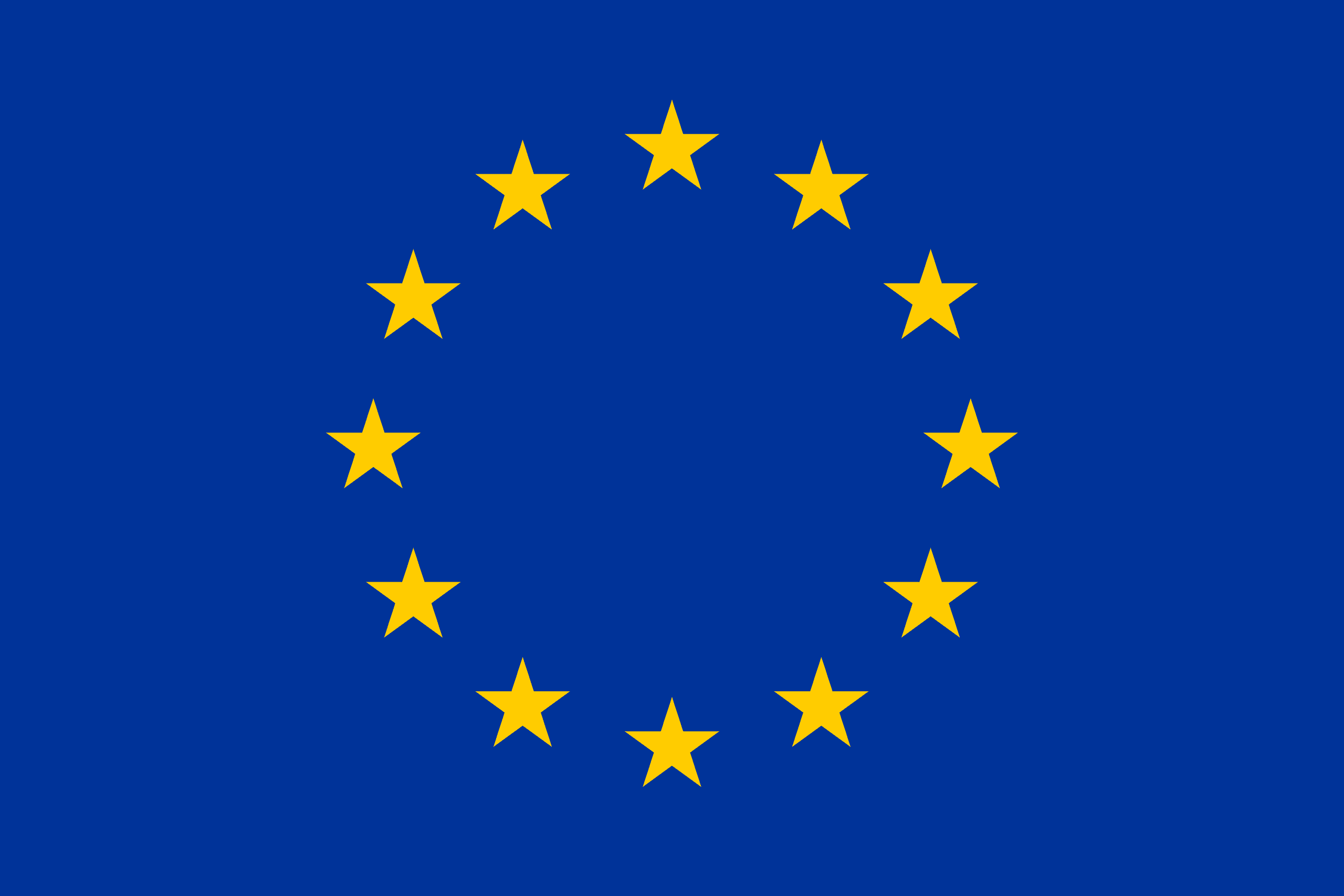 European Union Flag