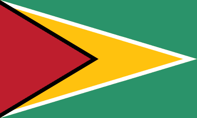 Guyana Flag